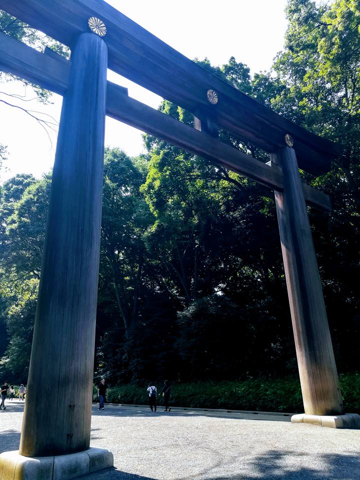 Le plus haut torii du Japon, taillé dans un cèdre vieux de 1500 ans.