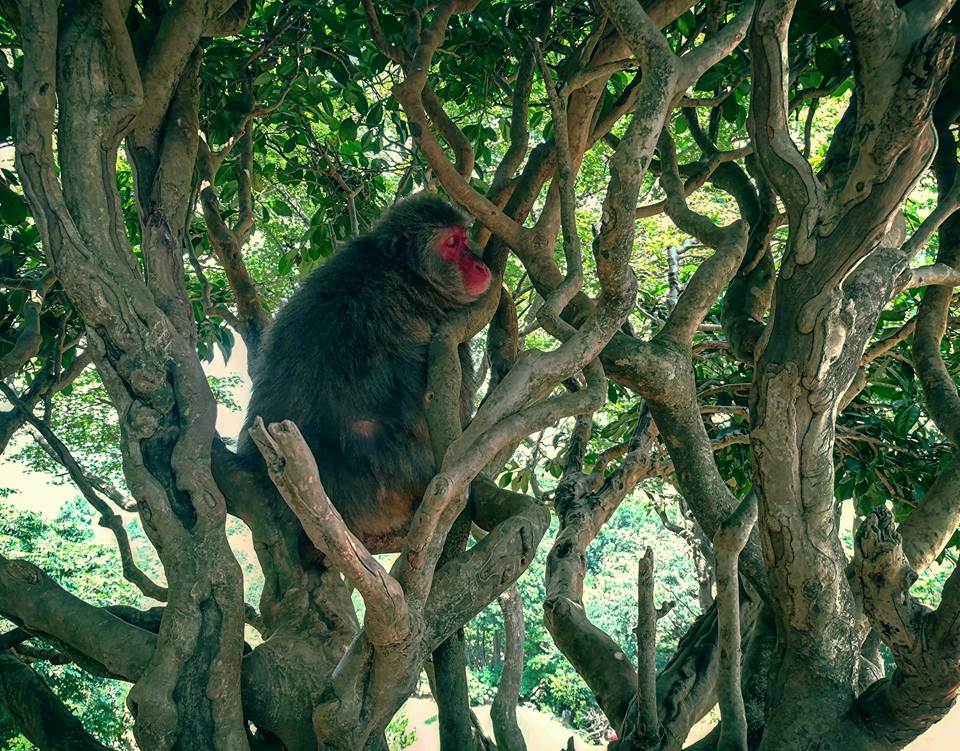 Sachez que j'ai dû enfreindre trois règles du parc pour prendre cette photo. 