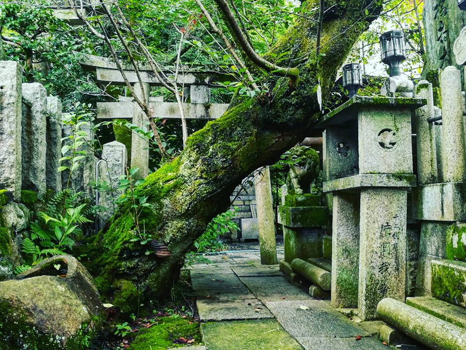 Cimetière Shinto.