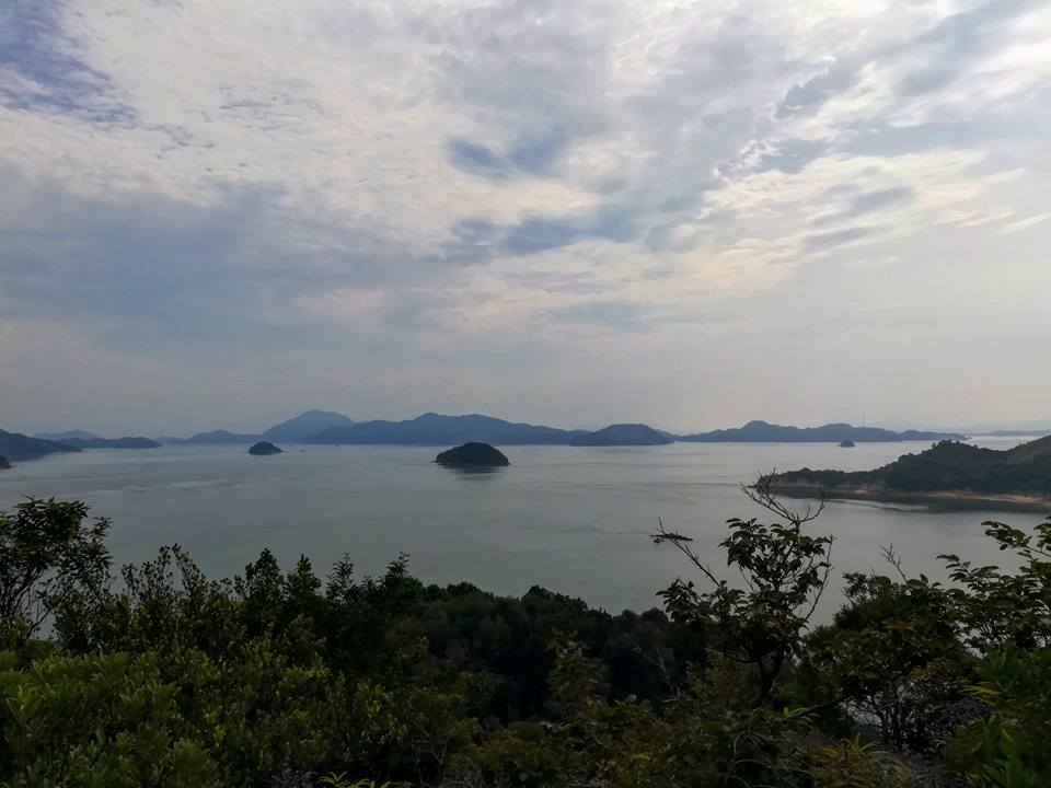 Vue depuis les hauteurs de l'île. 