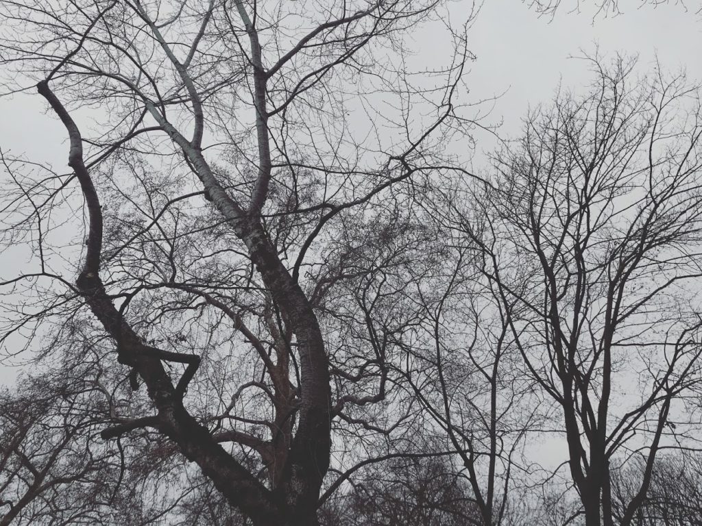 Parc Monceau, janvier 2020